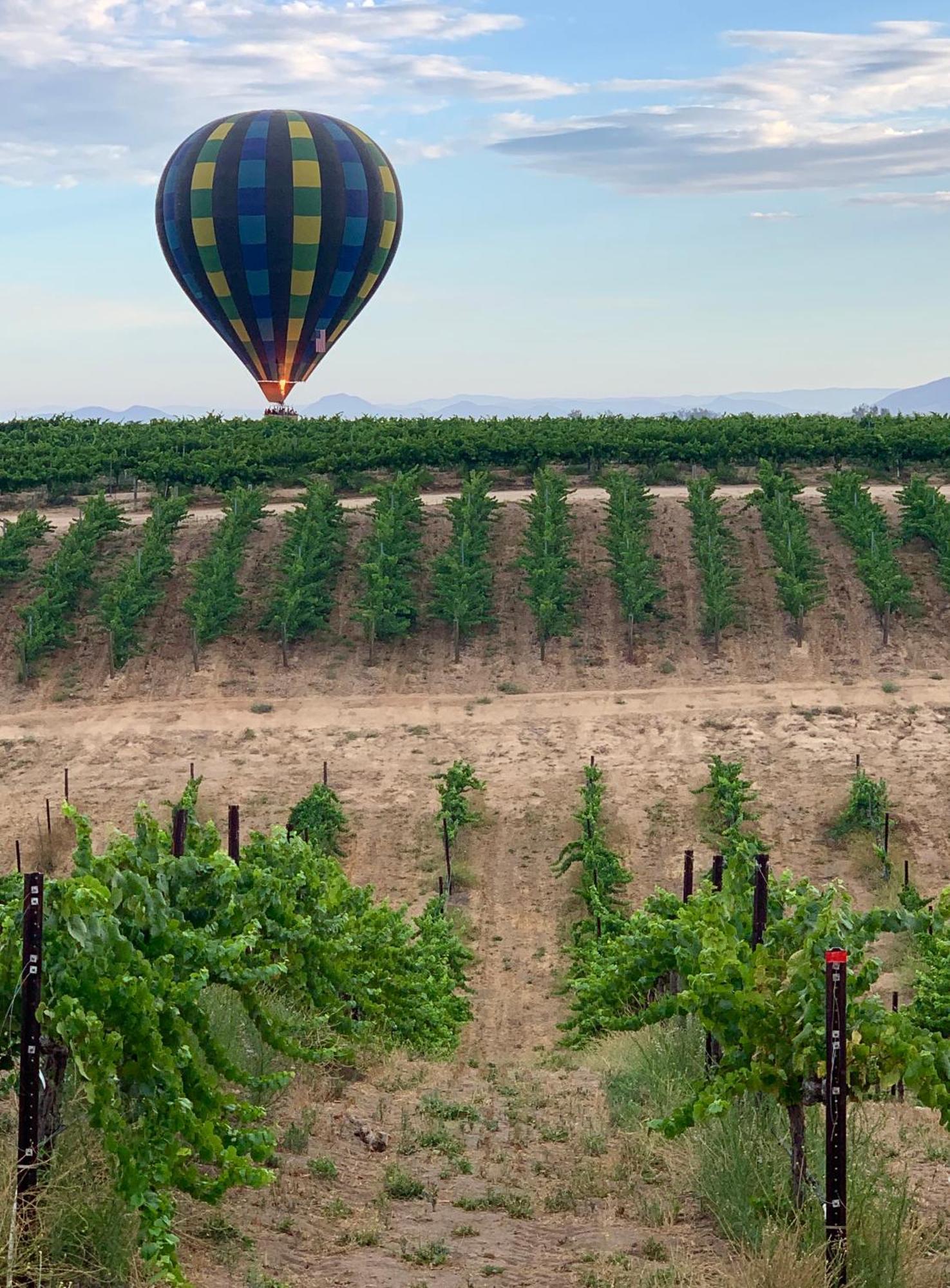Bed and Breakfast Domaine Chardonnay Temecula Exterior foto